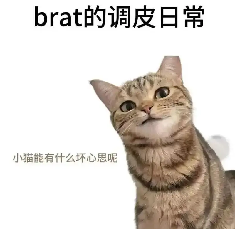 【西檬之家】斯慕圈是什么？字母圈新人入门权威指南