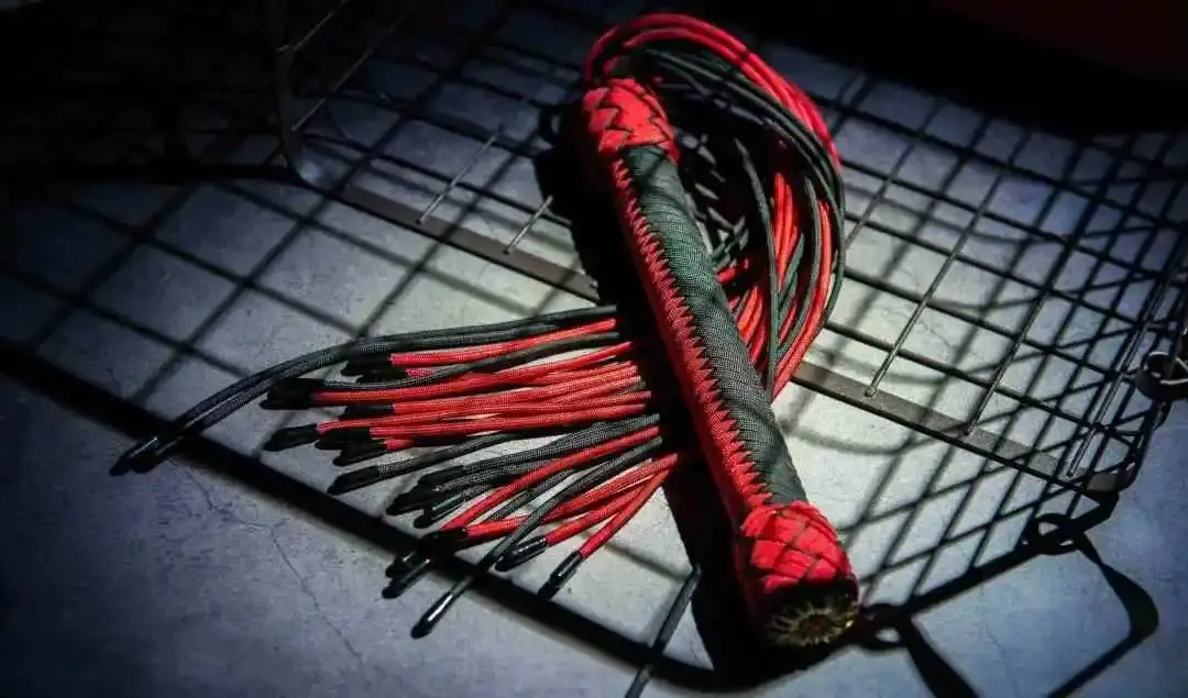 【西檬之家】大圈入门指南：BDSM基础知识与安全实践