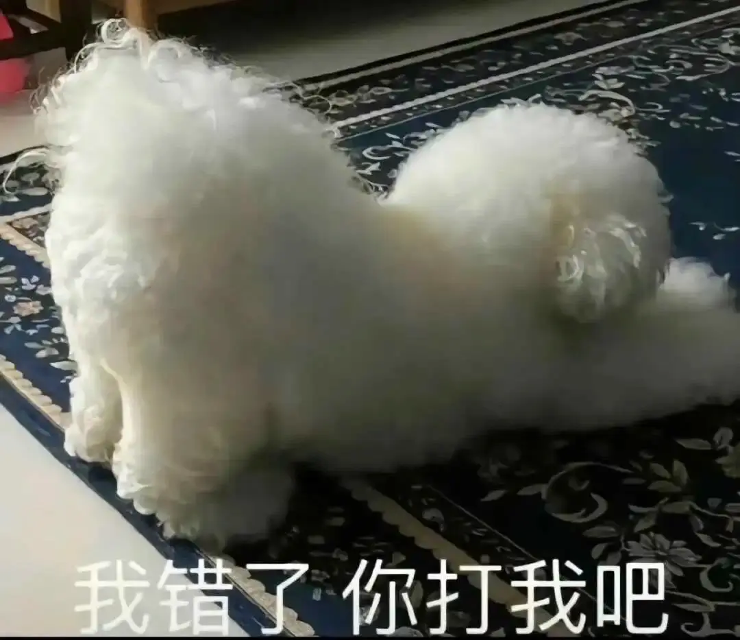 西檬之家-字母圈k8猫系是什么？猫系角色扮演全解析