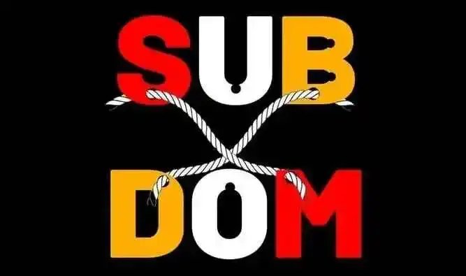 西檬之家-SM实践指南：从基础术语解析到关系建立全流程