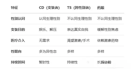 【西檬之家】DT是什么？BDSM新人读懂沟通的艺术