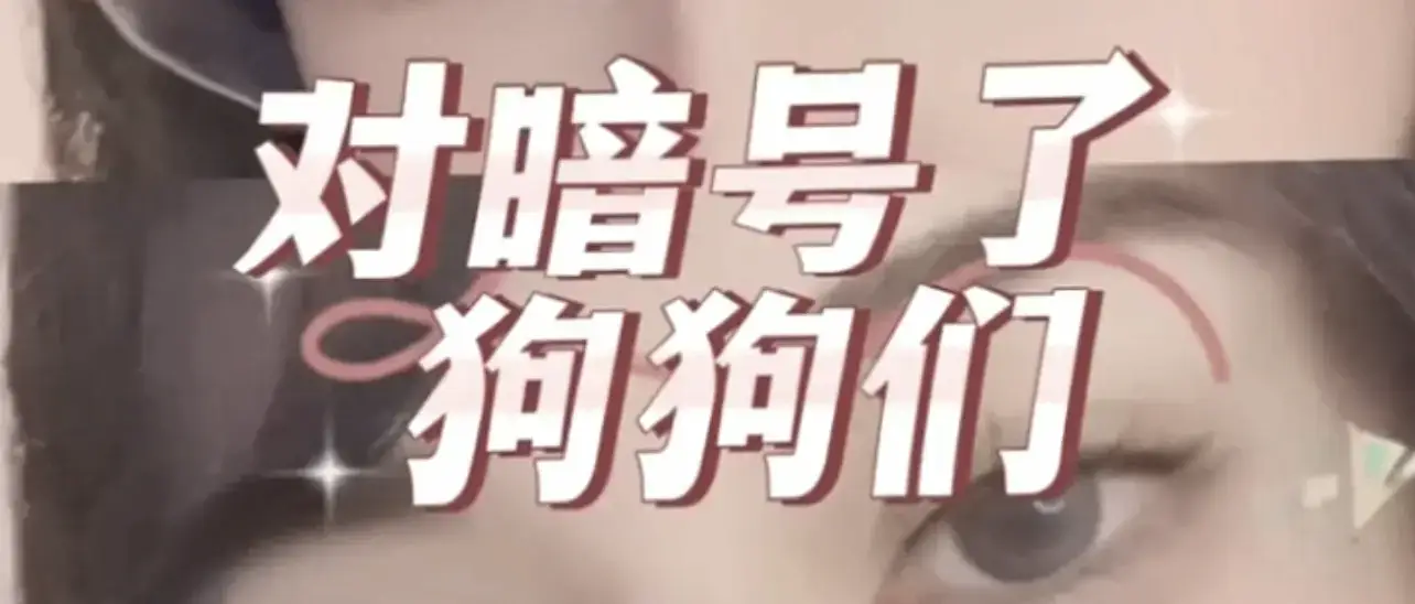 西檬之家-字母圈TK是什么？