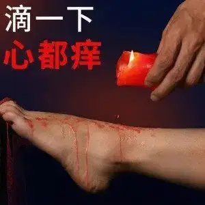 【西檬之家】k8猫系：理解这字母圈独特的猫系情感角色扮演