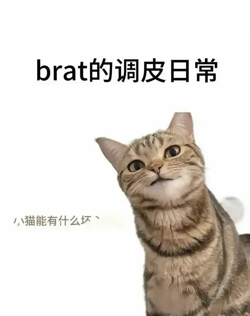 西檬之家-字母圈的S倾向实践指南