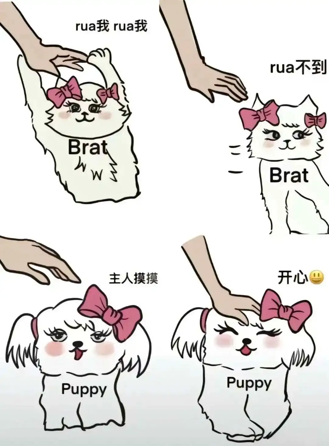 字母圈入圈 - 2023_12_05_21_27_IMG_9364