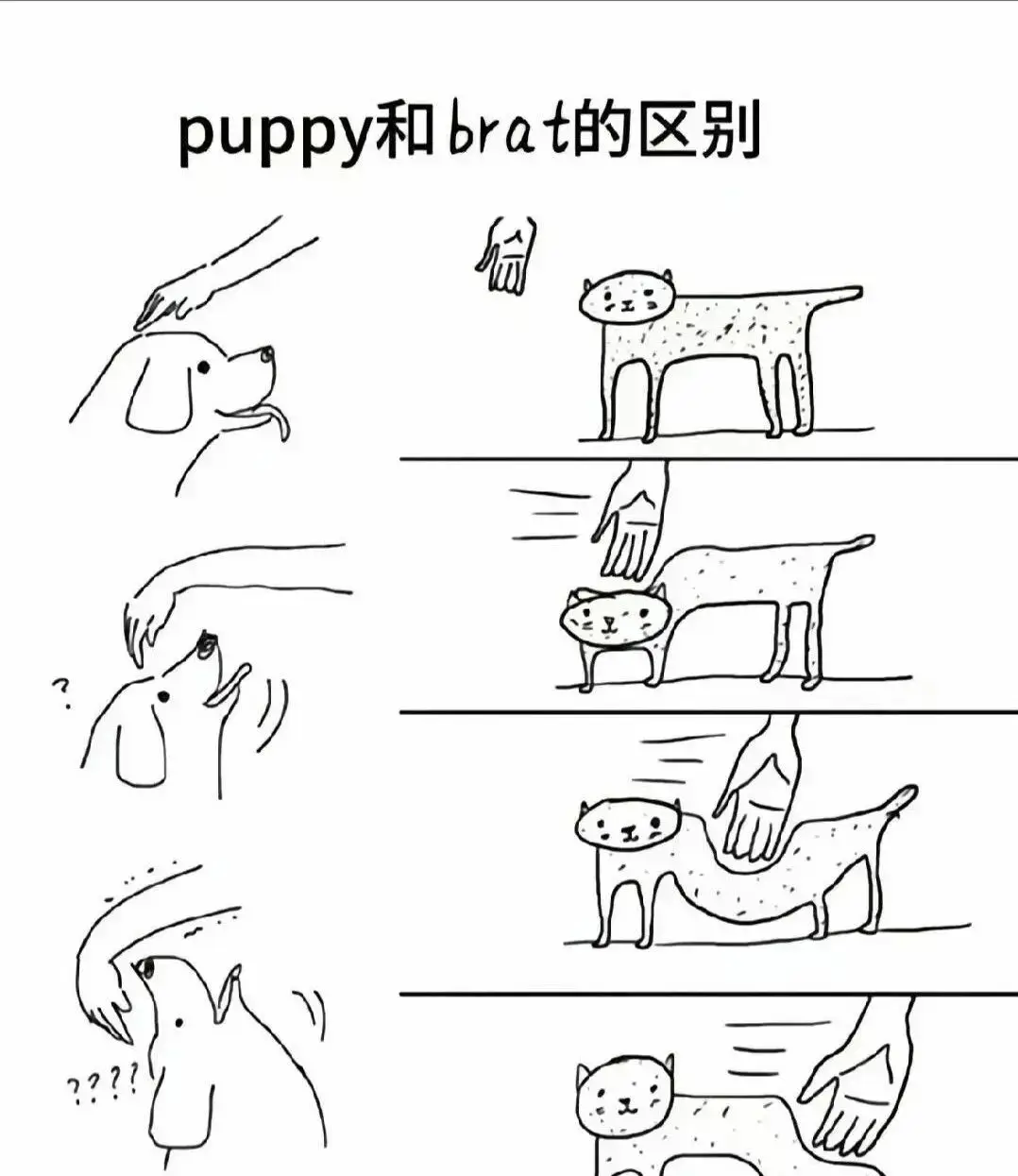 大圈 - 微信图片_2025-11-13_180940_765