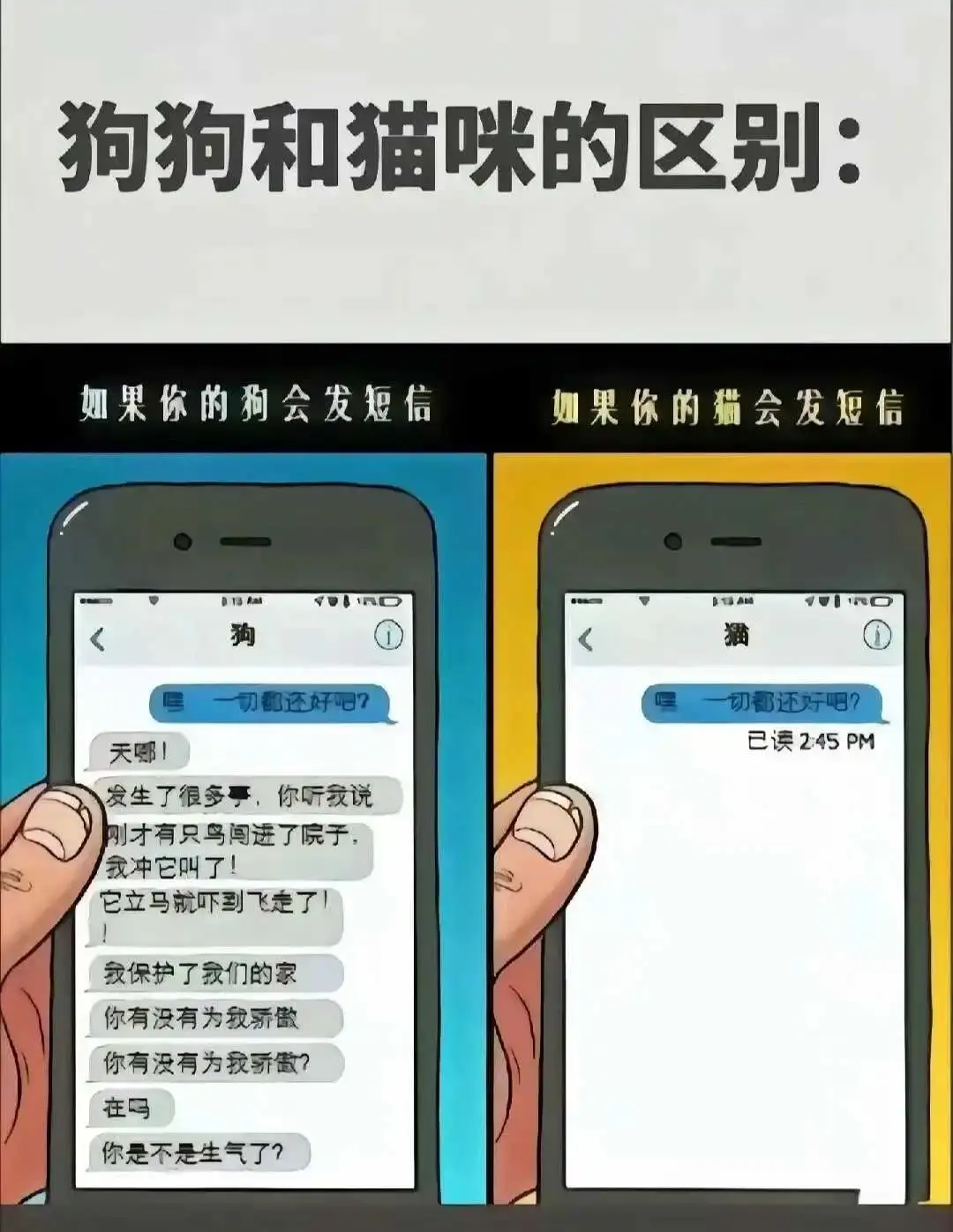 DT - 微信图片_20250713011414