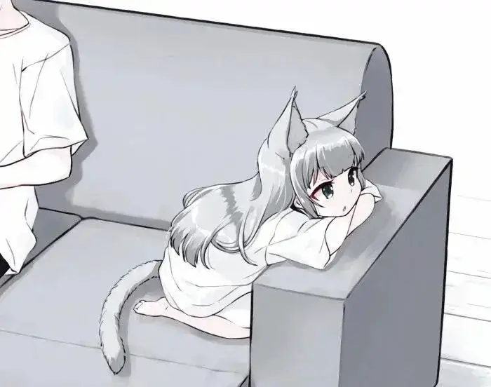 k8猫系 - 微信图片_20250725204754(1)